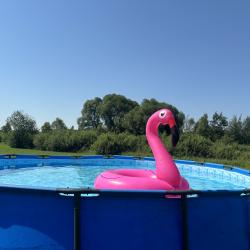 Фото Отель Эко-ферма Славная