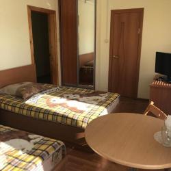 Фото Отель Гостевой купеческий дом