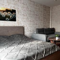 Фото Апартаменты на улице Линейная