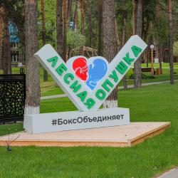 Фото Отель Лесная Опушка