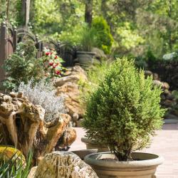 Фото Отель Лотос