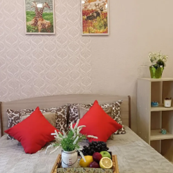 Фото Апартаменты на улице Еловая 8