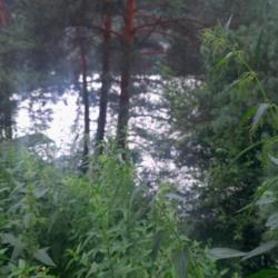 Фото Отель Индиго