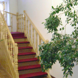 Фото Отель Галчонок