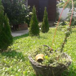 Фото Отель Фил Хаус