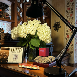 Фото Отель Диво