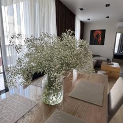 2-комнатные апартаменты люкс