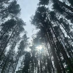 Фото Отель Кандры-Куль