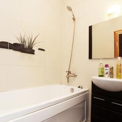 фото 10 ApartLux (АпартЛюкс) на Приютском
