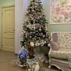 Фото Отель Северница