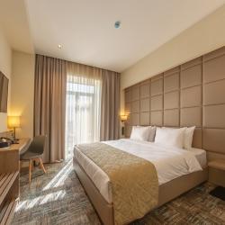 Фото Отель Hayasa Hotel Yerevan (Хаяса )