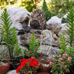 Фото Отель Горы и море