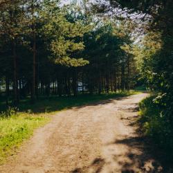 Фото Отель Торополис