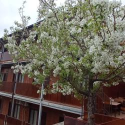 Фото Отель Arbuz (Арбуз)