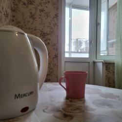 Фото Апартаменты на улице Курчатова 27/1