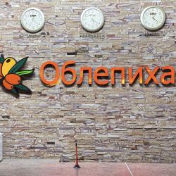 Фото Отель Облепиха