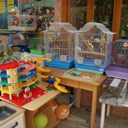 Фото Отель Семейный клуб Арго