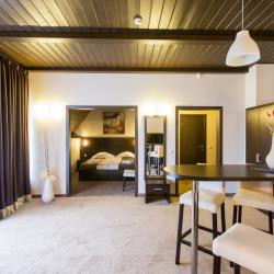 Фото Отель Лафер Ренессанс