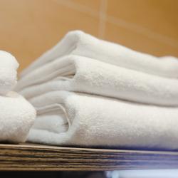 Фото Отель Родина