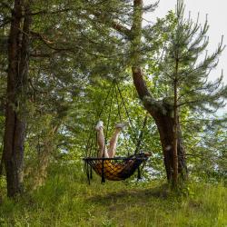 Фото Отель Берег Грифона