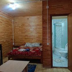 Номер стандарт семейный с 1 двуспальной кроватью