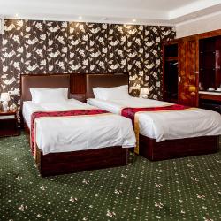 Номер люкс с 2 односпальными кроватями