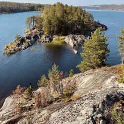 Фото Отель Гостевой комплекс Сосны