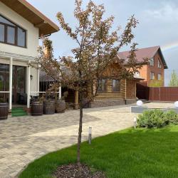 Фото Отель Сталевар