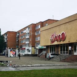2-комнатные апартаменты стандарт ул.Машиностроителей 41 (ЗАГС)