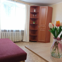 Фото Апартаменты на улице Татищева 17А