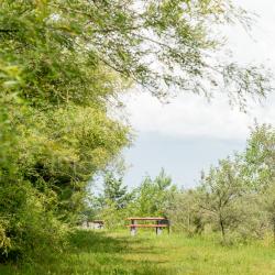фото 94 Борвиха