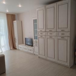 Фото Апартаменты на улице Большая Московская 132 к2