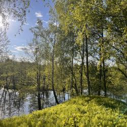 Фото Отель Вилла Першино