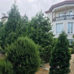 3-комнатные апартаменты люкс