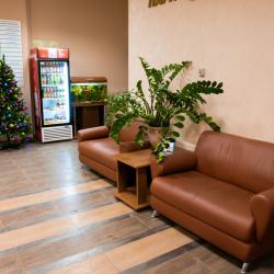 Фото Отель Азалия на Аграрной