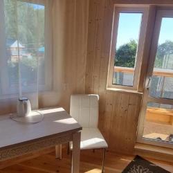 Фото Отель Ёлочка