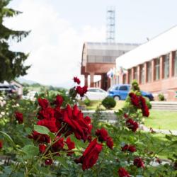 фото 5 Синдика SPA-Отель