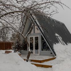 Дом у сосны