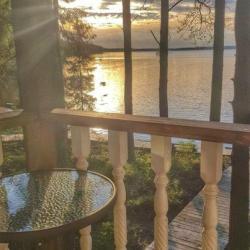 Фото Отель Black Fox (Блэк Фокс)