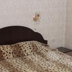 Номер эконом с 1 двуспальной кроватью (без окна)