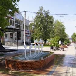 Фото Отель Светлана