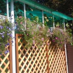 Фото Отель Надежда