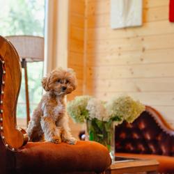 Фото Отель Эко Парк Тепло