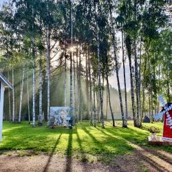 Фото Отель Гостевой комплекс Сосны