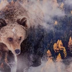 Фото Апартаменты 7 дней на улице Тверская