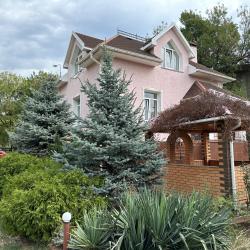 Фото Отель Лев