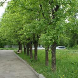 Фото Отель Пятый угол