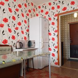 2-комнатные апартаменты эконом с 2 диванами