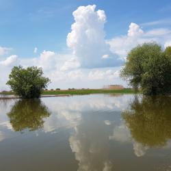 Фото Отель Дом у реки