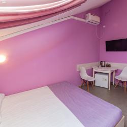 2-местный номер стандарт с 1 двуспальной кроватью (мансарда)